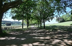 Orange, Provence-Alpes-Côte d'Azur 84500