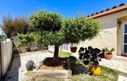 Latour-Bas-Elne, Languedoc-Roussillon 66200