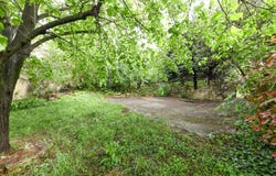 Uzès, Gard 30700