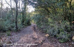 TOURVES, Provence-Alpes-Côte d'Azur 83170