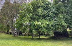 Oursel-Maison, Picardie 60480