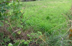Écrosnes, Eure-et-Loir 28320