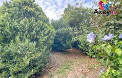 Mably, Rhône-Alpes 42300