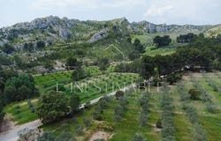 Maussane-les-Alpilles, Provence-Alpes-Côte d'Azur 13520