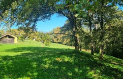 Maubourguet, Midi-Pyrénées 65700