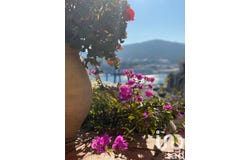 Port-Vendres, Occitanie 66660