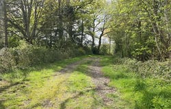 Chaillac, Indre 36310