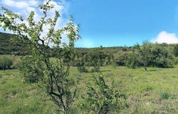 Saint-Bonnet-du-Gard, Occitanie 30210