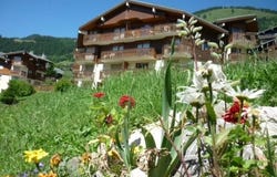 Châtel, Haute-Savoie 74390