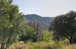 Saint-Roman-de-Codières, Languedoc-Roussillon 30440