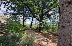 Lodeve, Languedoc-Roussillon 34700