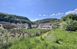 Beaune, Bourgogne-Franche-Comté 21200