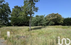 La Brède, Nouvelle-Aquitaine 33650