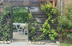 bosjean, Bourgogne-Franche-Comté 71330