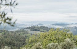 Tanneron, Provence-Alpes-Côte d'Azur 83440