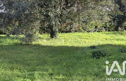 Blaye, Nouvelle-Aquitaine 33390
