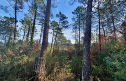 Saint-Paul-en-Forêt, Provence-Alpes-Côte-d'Azur 83440