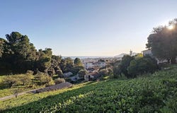 Le Cannet, Provence-Alpes-Côte-d'Azur 06110