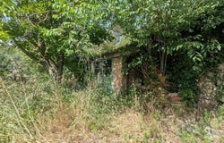 Montfort-sur-Argens, Provence-Alpes-Côte-d'Azur 83570