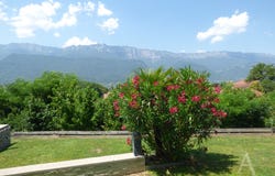 GONCELIN, Auvergne-Rhône-Alpes 38570