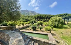 Lumio, Corsica 20260
