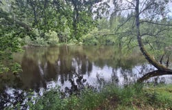 RILHAC LASTOURS, Nouvelle-Aquitaine 87800