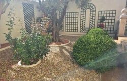 Montady, Languedoc-Roussillon 34310