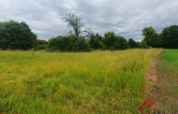 Favresse, Grand Est 51300