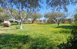 Argeliers, Languedoc-Roussillon 11120