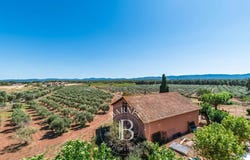 Le Luc, Provence-Alpes-Côte d'Azur 83340