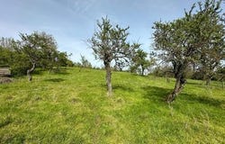 Bouxieres-Aux-Chenes, Lorraine 54770