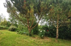 TALMONT SAINT HILAIRE, Pays de la Loire 85440