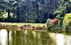 CUILLE, Pays de la Loire 53540