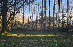 Saint-Pée-sur-Nivelle, Nouvelle-Aquitaine 64310