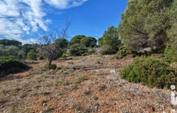 la palme, Occitanie 11480