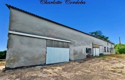 MONTAGNAC SUR AUVIGNON, Aquitaine 47600
