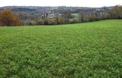 NAILHAC, Aquitaine 24390