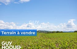 ECULLY, Auvergne-Rhône-Alpes 69130