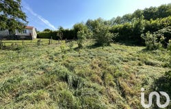 Montournais, Pays de la Loire 85700