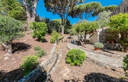 Ramatuelle, Provence-Alpes-Côte d'Azur 83350