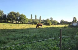 Molac, Brittany 56230
