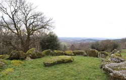 Dettey, Burgundy 71190