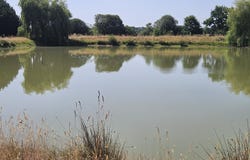 Pannecé, Pays de la Loire 44440