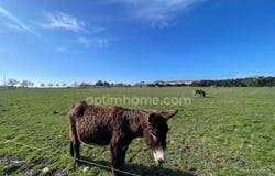 Niort, Poitou-Charentes 79000