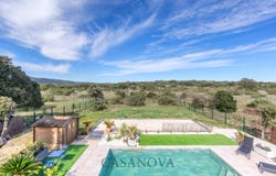 Viols-en-Laval, Languedoc-Roussillon 34380