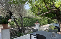 Draguignan, Provence-Alpes-Côte-d'Azur 83300