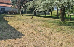 Villeneuve-La-Guyard, Bourgogne-Franche-Comté 89340