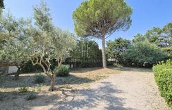 Saint-Étienne-du-Grès, Provence-Alpes-Côte d'Azur 13103
