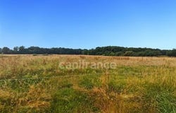 ST GERMAIN DU PLAIN, Bourgogne 71370