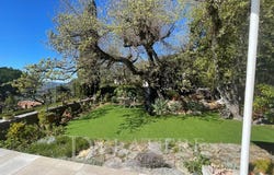 Grasse, Provence-Alpes-Côte-d'Azur 06520